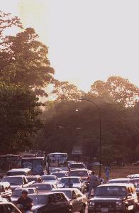 "la cola" in Caracas close to the Jardin Botanico